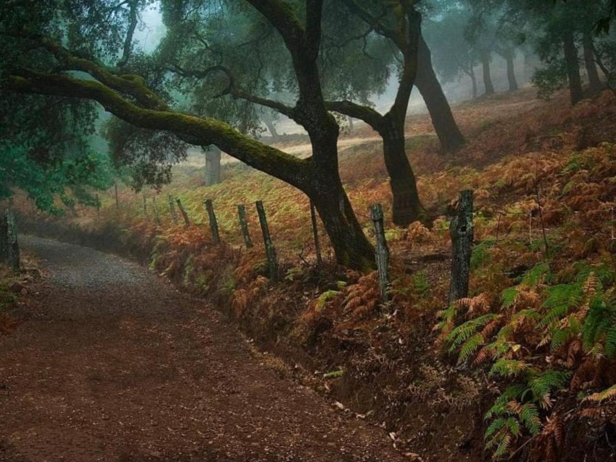 Finca Charco La Olla Хабуго Екстериор снимка