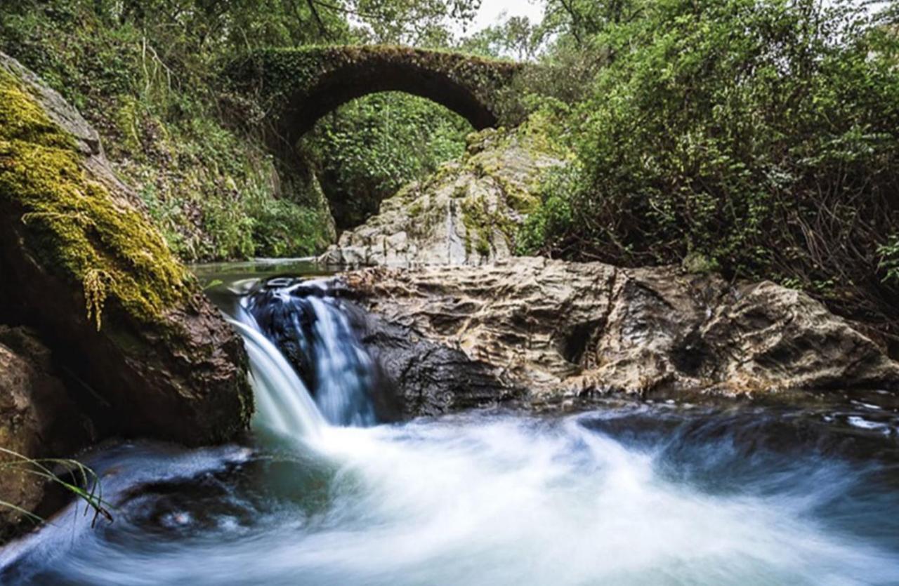 Finca Charco La Olla Хабуго Екстериор снимка