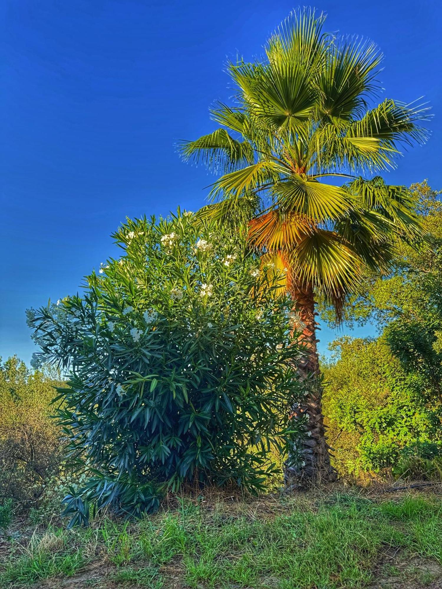 Finca Charco La Olla Хабуго Екстериор снимка